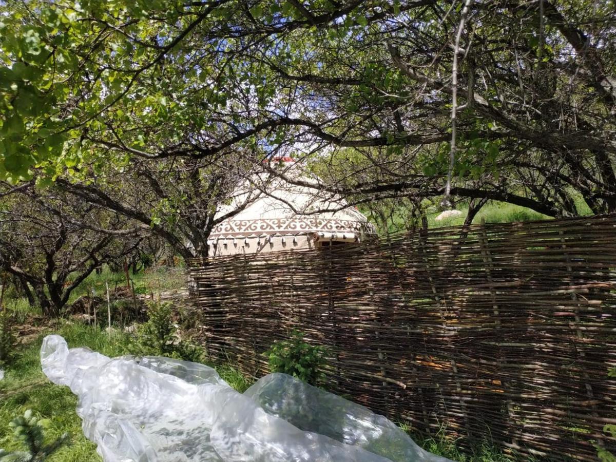 Bed and Breakfast Turan Handmade Yurt With Heated Floors Karakol Exterior foto