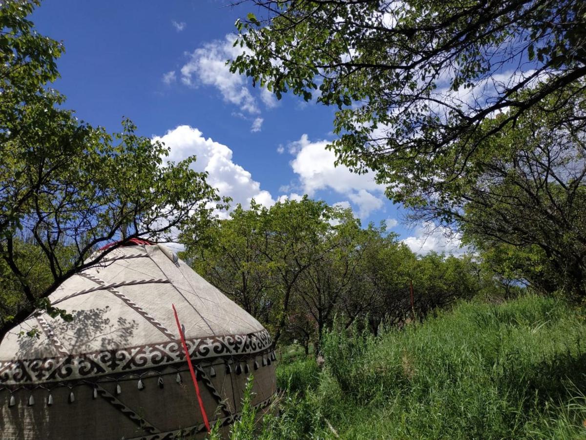 Bed and Breakfast Turan Handmade Yurt With Heated Floors Karakol Exterior foto