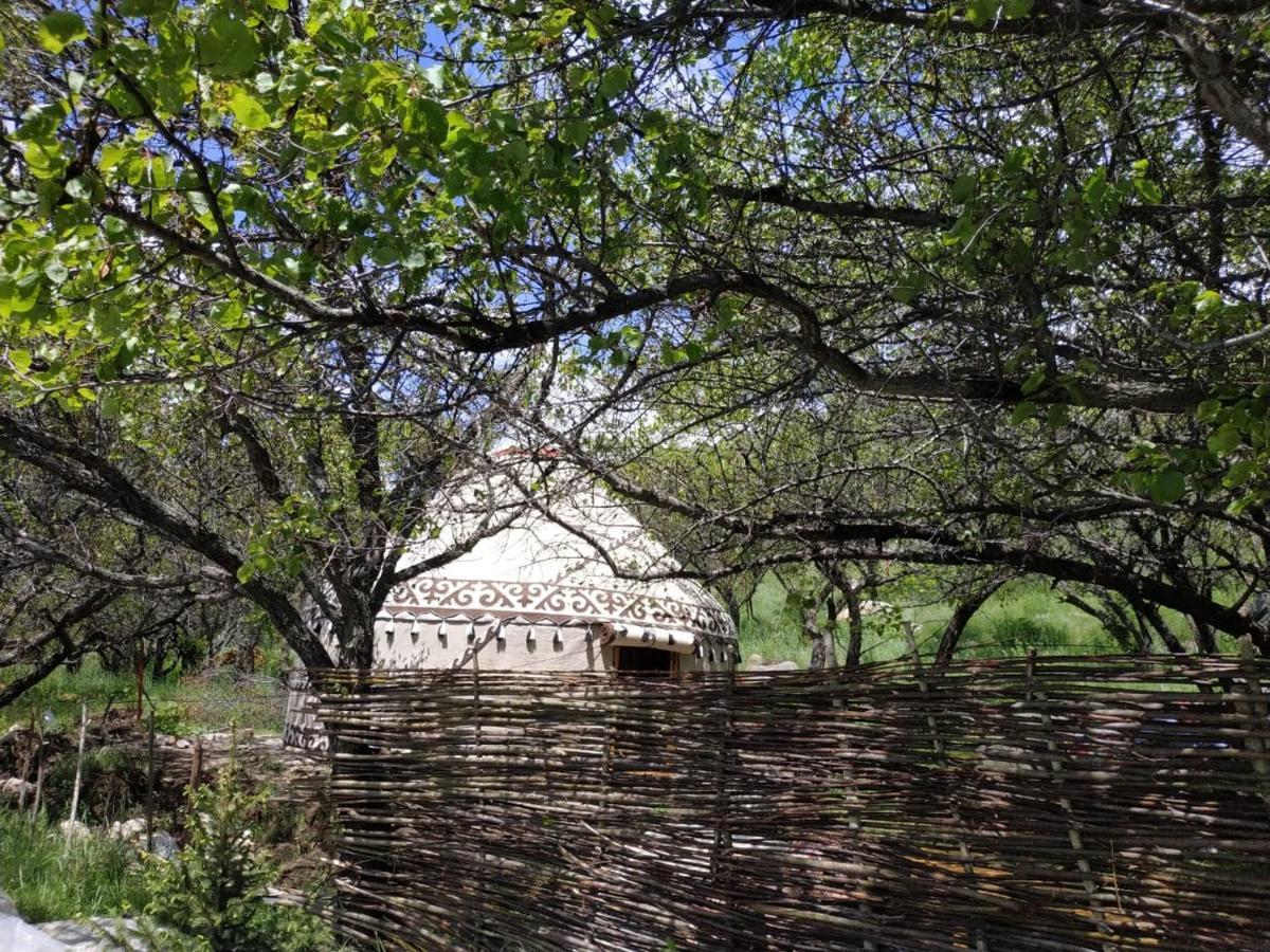 Bed and Breakfast Turan Handmade Yurt With Heated Floors Karakol Exterior foto